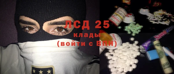 шишки Гусев