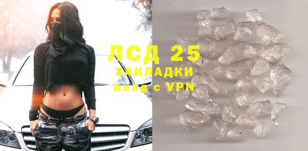 шишки Гусев