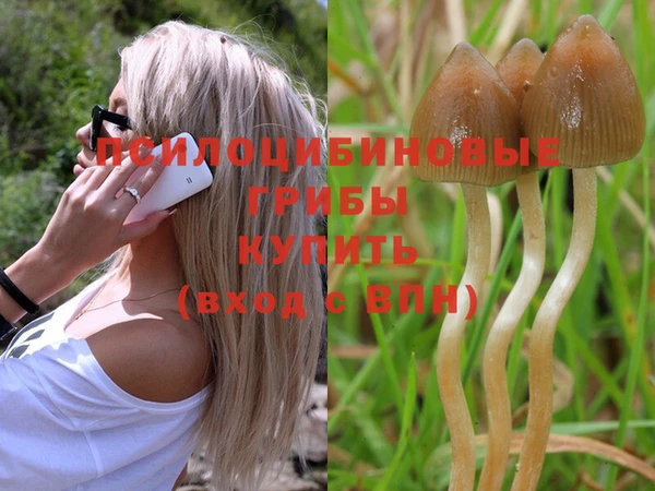 а пвп мука Гусиноозёрск