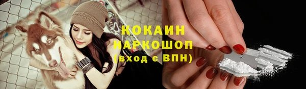 шишки Гусев