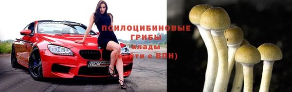 а пвп мука Гусиноозёрск