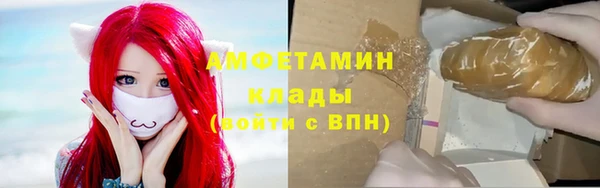 шишки Гусев