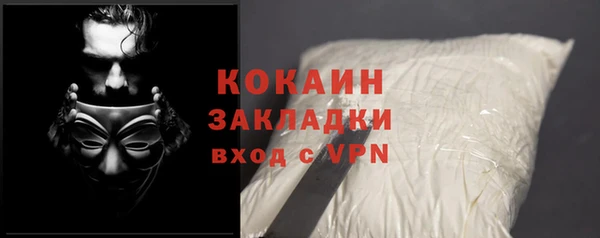 шишки Гусев