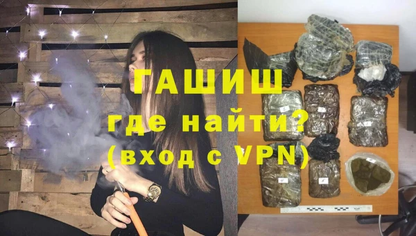 шишки Гусев