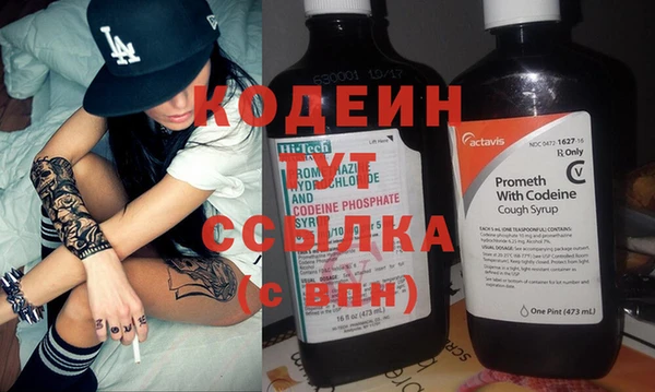шишки Гусев