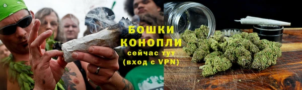 шишки Гусев